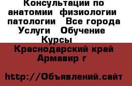 Консультации по анатомии, физиологии, патологии - Все города Услуги » Обучение. Курсы   . Краснодарский край,Армавир г.